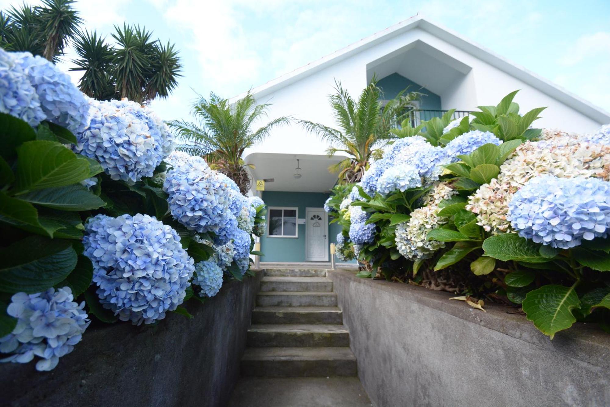 Casinha Das Hortensias Leilighet Horta  Eksteriør bilde