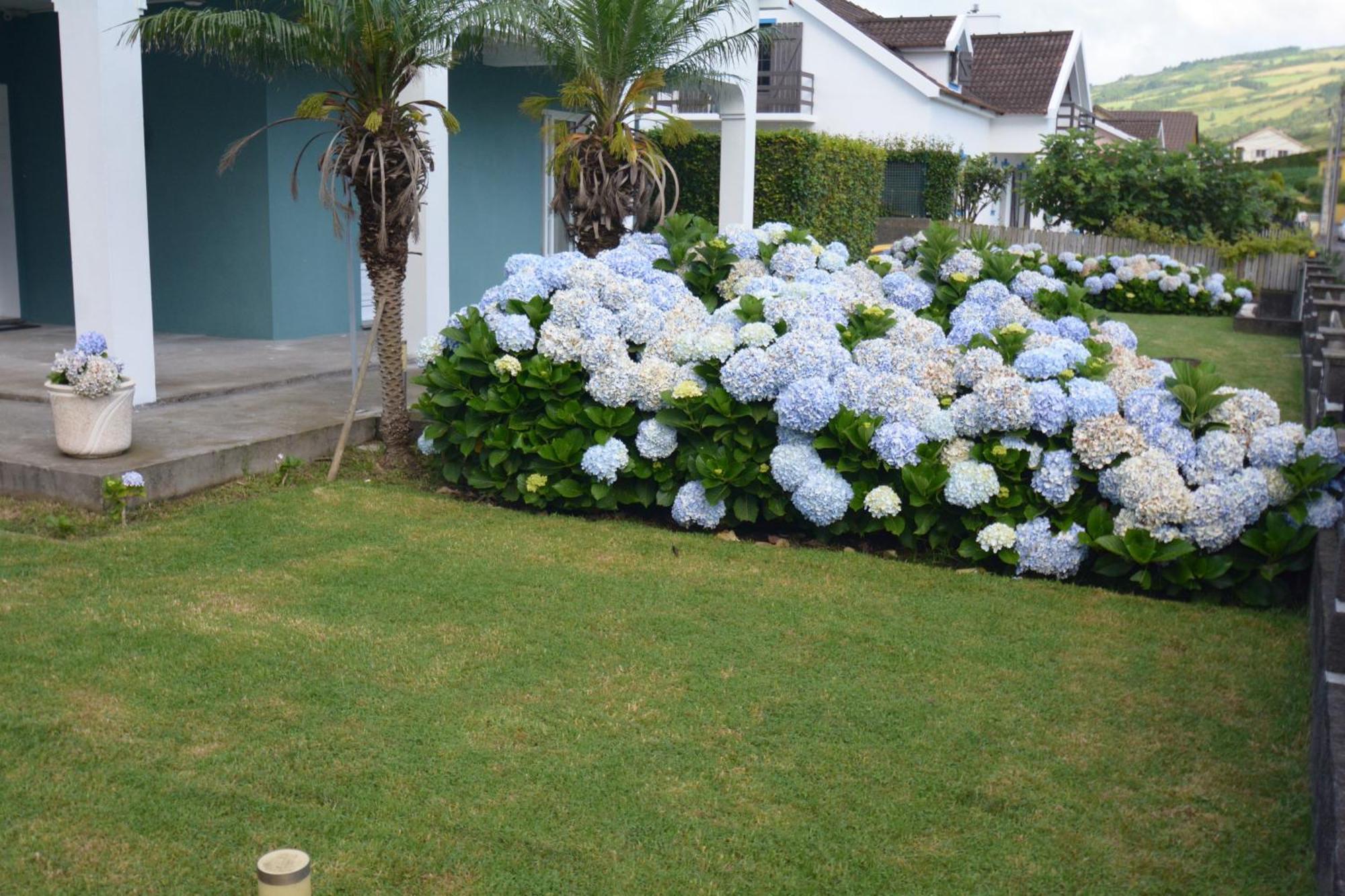 Casinha Das Hortensias Leilighet Horta  Eksteriør bilde