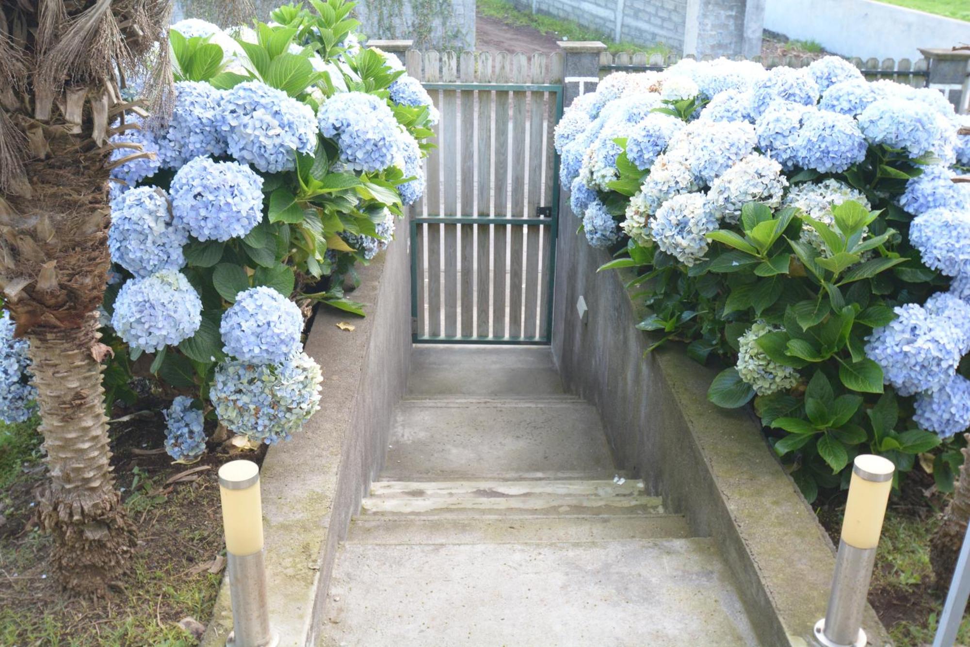 Casinha Das Hortensias Leilighet Horta  Eksteriør bilde